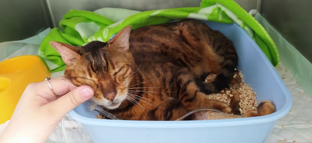 Mardi 18 Juin&nbsp;2024