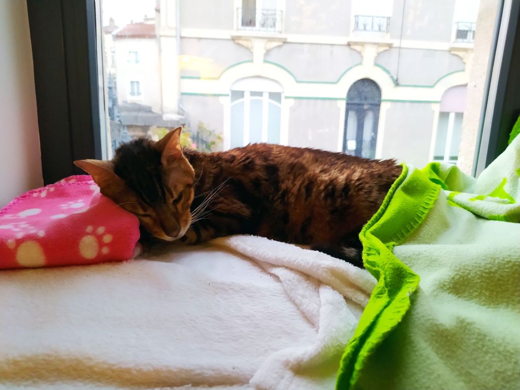 Lundi 24 Juin&nbsp;2024